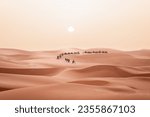 Camel trek during sunrise with tourists in the sahara desert, Merzouga Morocco