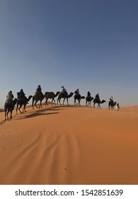 Camel Trek Into The Sahara Desert In Morocco