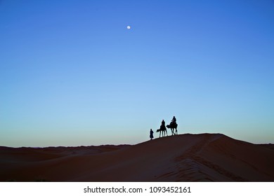 The Camel Trek In Sahara Desert