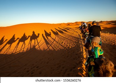 Camel Trek And Sand Dunes Of Moroccan Sahara Desert, Merzouga. 