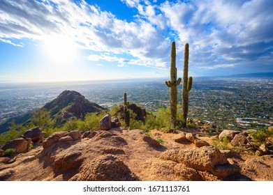 Camelback Mountain Cactus at Sunrise