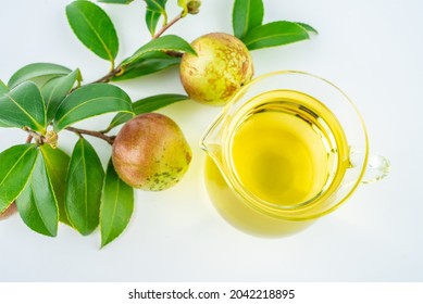 Camellia Fruit And Tea Seed Oil On White Background