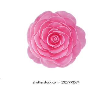 Camellia On White Background