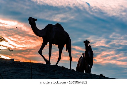 Leiter Himmel Stockfotos Bilder Und Fotografie Shutterstock