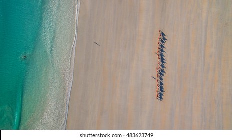 Camels At Cable Beach, Broome, Western Australia.