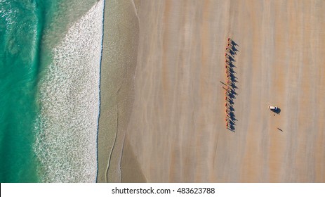 Camels At Cable Beach, Broome, Western Australia.