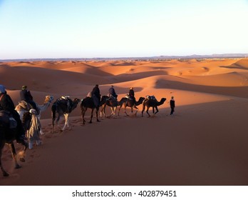 Camels Caravan Dessert In Sahara