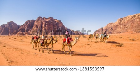 Camels caravan in majestic Wadi Rum, aka Valley of the Moon, a protected nature reserve with dramatic sandstone mountains and granite rock. The largest wadi in Jordan