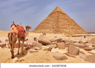 Camels in front of the The Pyramid of Khafre (Pyramid of Chephren), the second-tallest and second-largest of the Ancient Egyptian Pyramids of Giza, Giza Plateau, Cairo, Egypt - Shutterstock ID 1415873558