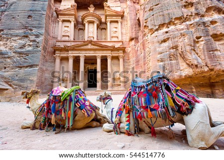 Camels lying in front of El-Khazneh in the ancient city of Petra. Jordan