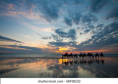 Camels On Cable Beach