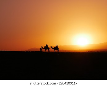 Camels On Sandy Dunes Of Zagora, Morocco