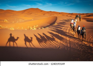 camels trekking guided tours in Merzouga Morocco Sahara desert