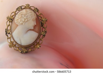Cameo Brooch In A Shell