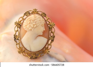 Cameo Brooch In A Shell