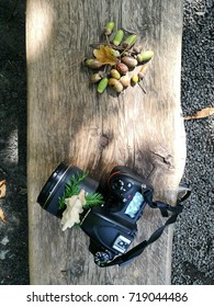 camera  and autumn 