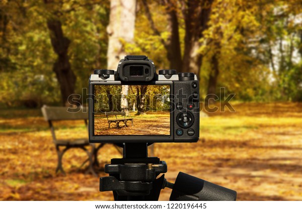 Camera Bench Cast Iron Legs Standing Parks Outdoor Stock Image