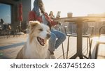 Camera focus on head of charming dog. Pet looking around while breathing fast. Sitting on floor next to owner. Female in background using smartphone while sitting on terrace. Petting animal.