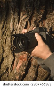 camera hidden behind a tree