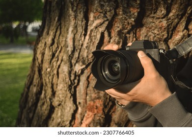 camera hidden behind a tree