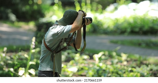 the camera is hidden in the leaves