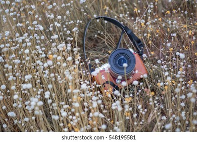 camera lay down in meadow