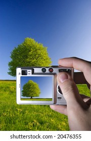 camera making a photo of a tree