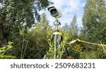 A camera is mounted on a tripod in a forest. The camera is yellow and black