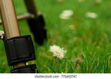 camera in nature