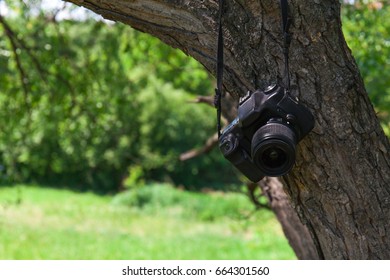 Camera in nature on tree. Technology concept