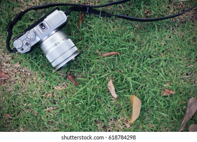 Camera on the grass background.