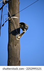 camera on a pole, blue background