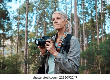 Camera, photographer and elderly woman taking pictures while hiking in a forest, calm and content. Nature, photography and senior lady enjoying retirement, relax and hobby while on vacation outdoors - Powered by Shutterstock