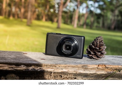 camera and Pine nut