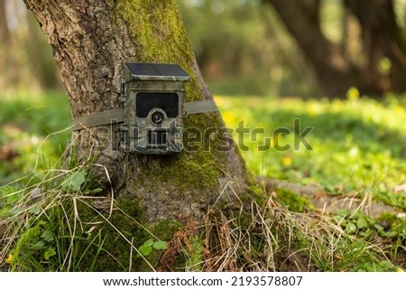 Camera trap with integrated solar panel charging internal battery while strapped to a tree in nature.