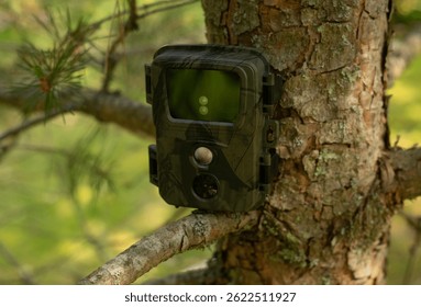 A camera trap mounted on a tree. A trap for shooting wild animals in the forest.