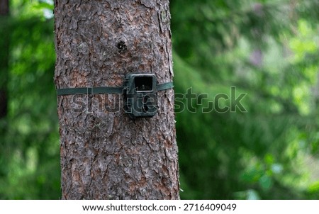 A camera trap on a tree in the forest.Hidden camera for animal watching.
