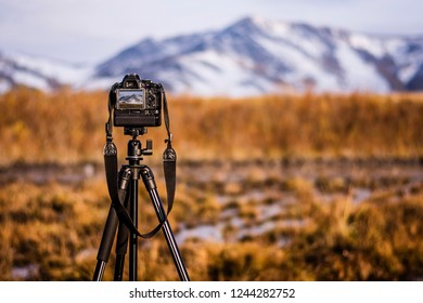 camera and tripod