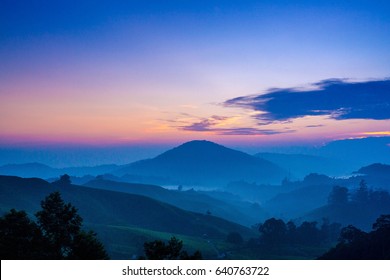 Cameron Highlands Sunrise  at green tea farm mountain. Dramatic moving cloud in nature landscape on sunshine morning. - Shutterstock ID 640763722