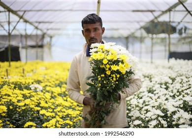 Cameron Highlands,17 June 2021,Malaysia - A  Foreign Worker Works In A Flower Farm In Cameron Highlands,Malaysia.