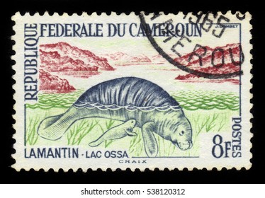 Cameroon - CIRCA 1962: A Stamp Printed In Cameroon Shows African Manatee (Trichechus Manatus Senegalensis), Circa 1962