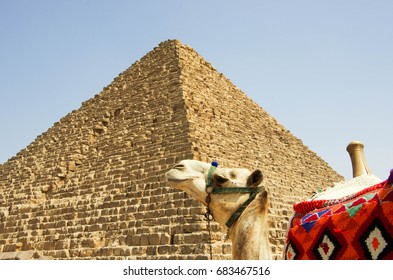 Camilla lies in front of the pyramid in Egypt. - Shutterstock ID 683467516