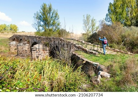 Camino de Santiago  to Compostela with pilgrim man  in roman bridge of Valimbre on  Via de la  plata , Leon province, Spain
