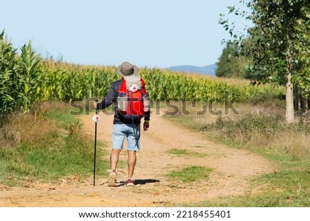 Camino de Santiago pilgrim man  to Compostela with unfocused corn plantation in background , near Astorga vlilage in  Leon , Spain 