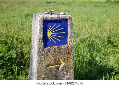 Camino de Santiago sign Pilgrimage to Santiago de Compostela concept Way of Saint James shell sign and yellow arrow
