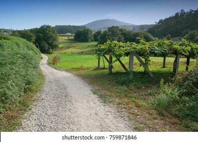 Camino De Santiago Trail Through The Landscape Close To Caldas De Reis, Galicia, Spain 