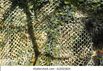 Camouflage Net Texture