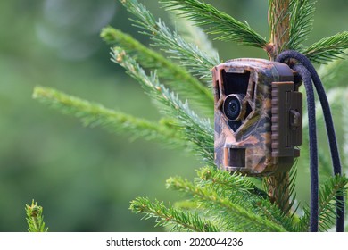 Camouflage Wildlife Camera Trap On The Tree