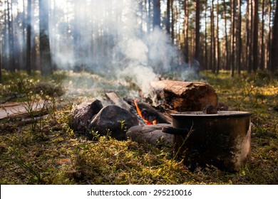 The Camp Campfire In The Woods