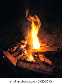 Camp Fire In Night
